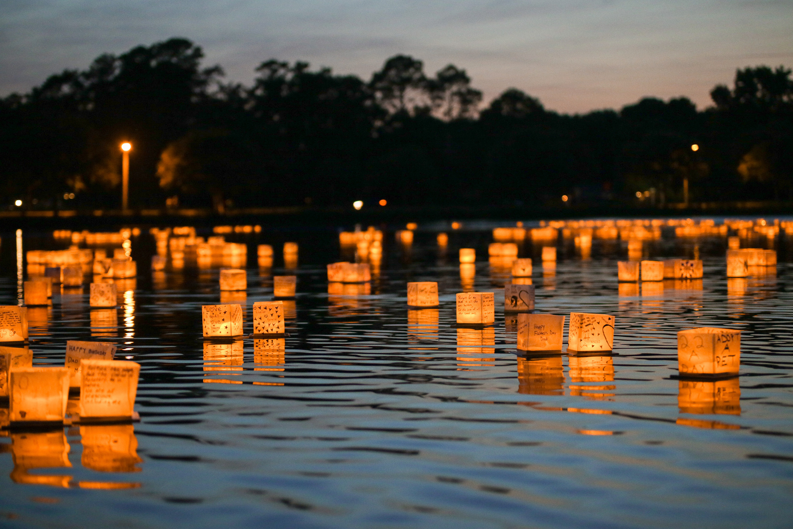 Lantern Picture lantern picture